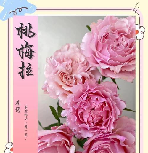 桃花花语与寓意(桃花花语的背后秘密与意义)