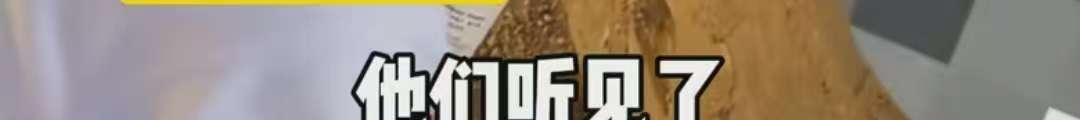情侣长城刻字后续，满脸笑意无视提醒，央视怒批，目击者发声