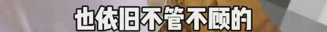 情侣长城刻字后续，满脸笑意无视提醒，央视怒批，目击者发声