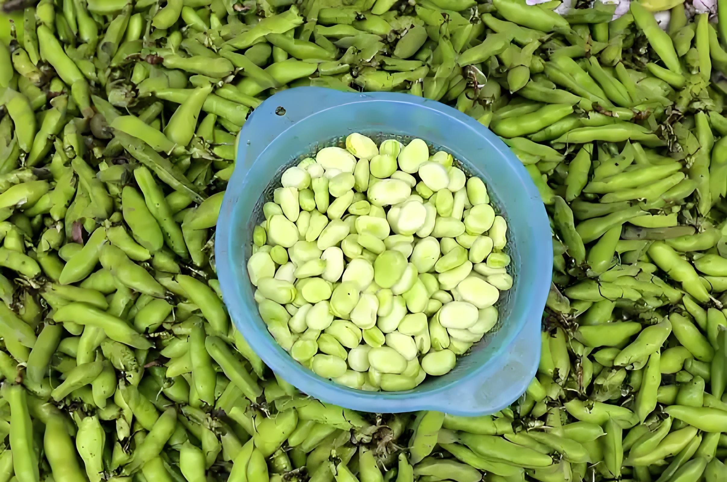 寒露后抓紧种这8样菜！零下10度冻不死，现在种冬天吃不完