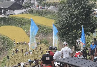 一脸懵！老人田间忙收割，30人“骑行队”路过，瞬间收完，真好！