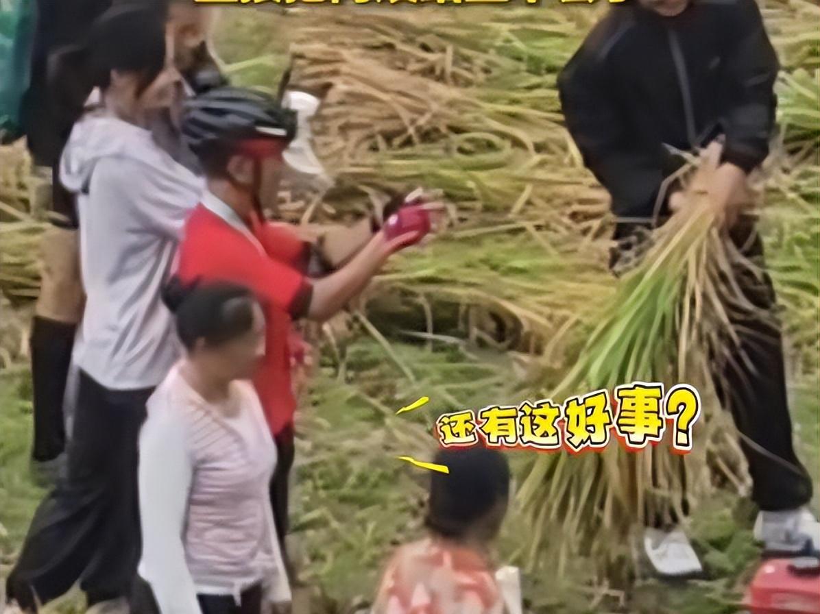 一脸懵！老人田间忙收割，30人“骑行队”路过，瞬间收完，真好！