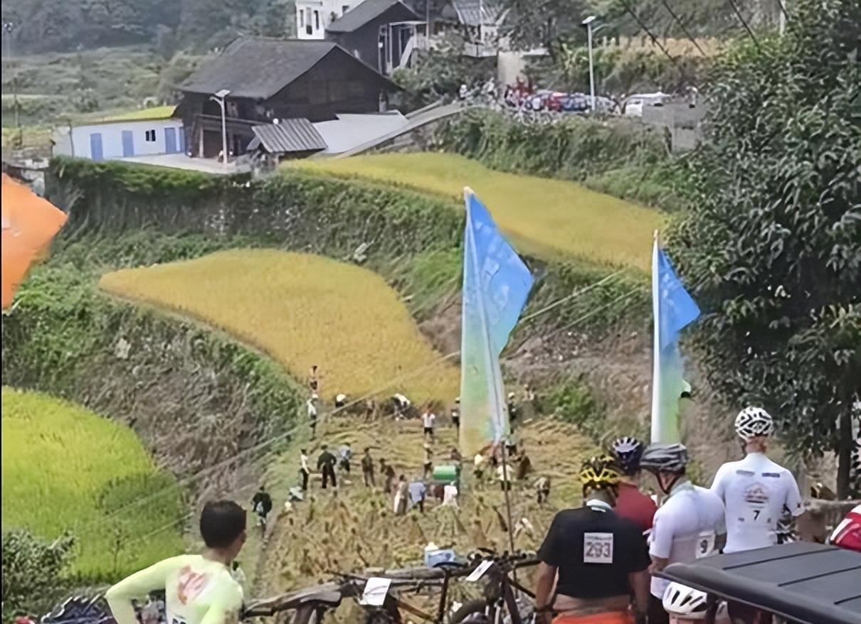 一脸懵！老人田间忙收割，30人“骑行队”路过，瞬间收完，真好！