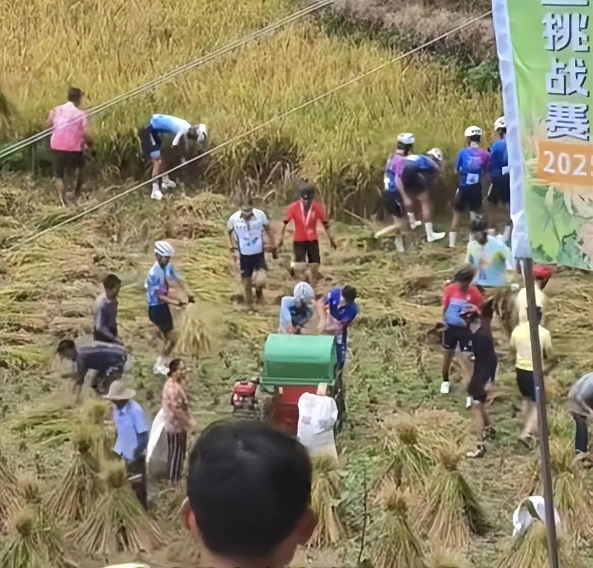 一脸懵！老人田间忙收割，30人“骑行队”路过，瞬间收完，真好！