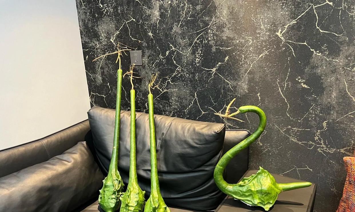 男子离家2个月，厕所门口长出“皮搋子”，到底是啥？网友：好酷