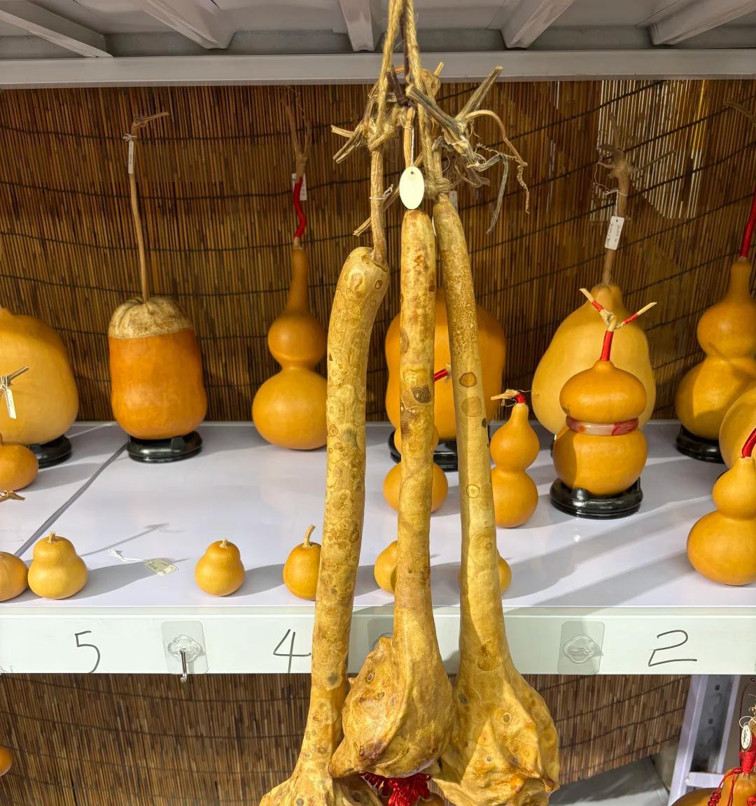 男子离家2个月，厕所门口长出“皮搋子”，到底是啥？网友：好酷