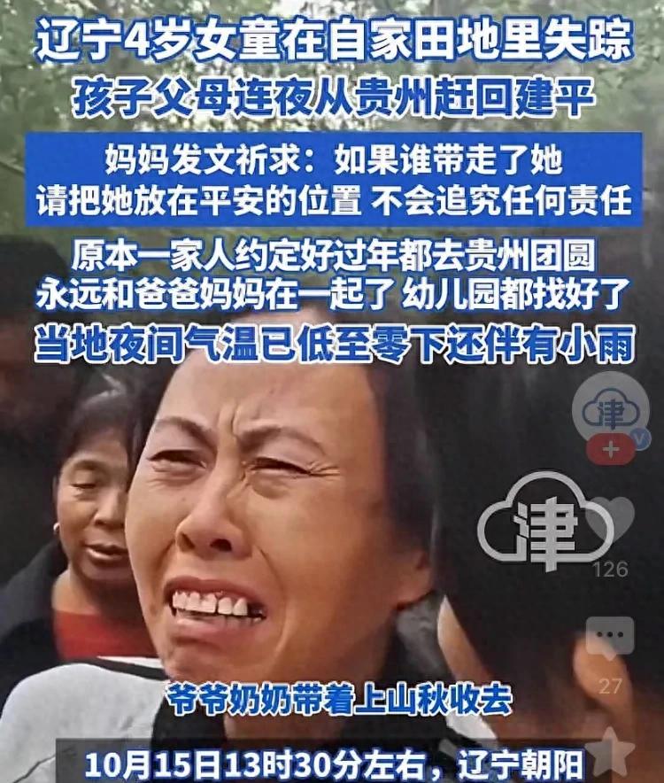 山野里的“小机灵鬼”：辽宁4岁失联女童丁一的48小时生死营救