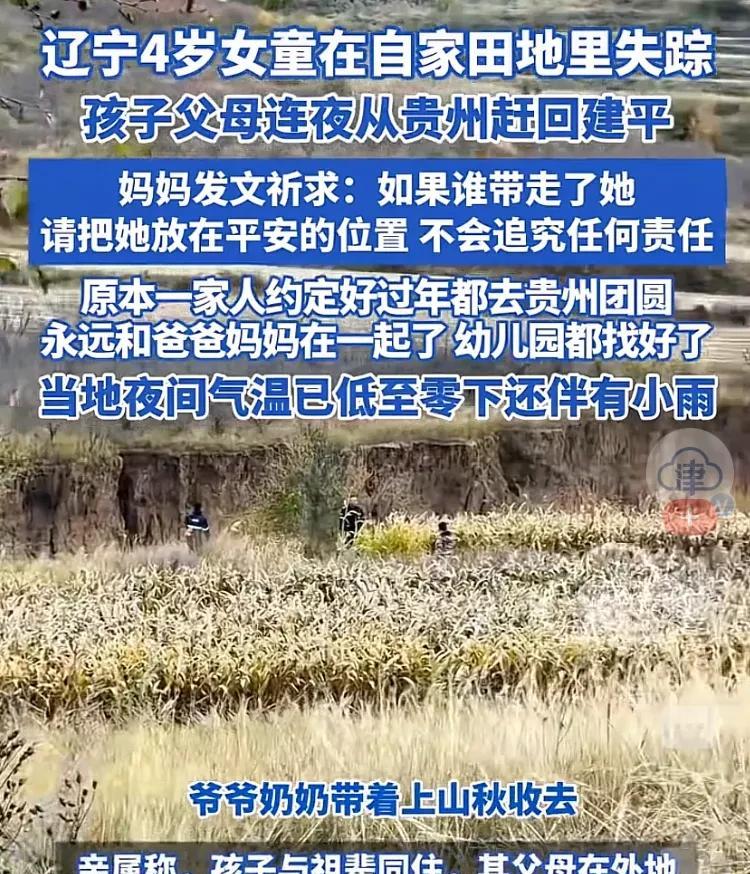 山野里的“小机灵鬼”：辽宁4岁失联女童丁一的48小时生死营救