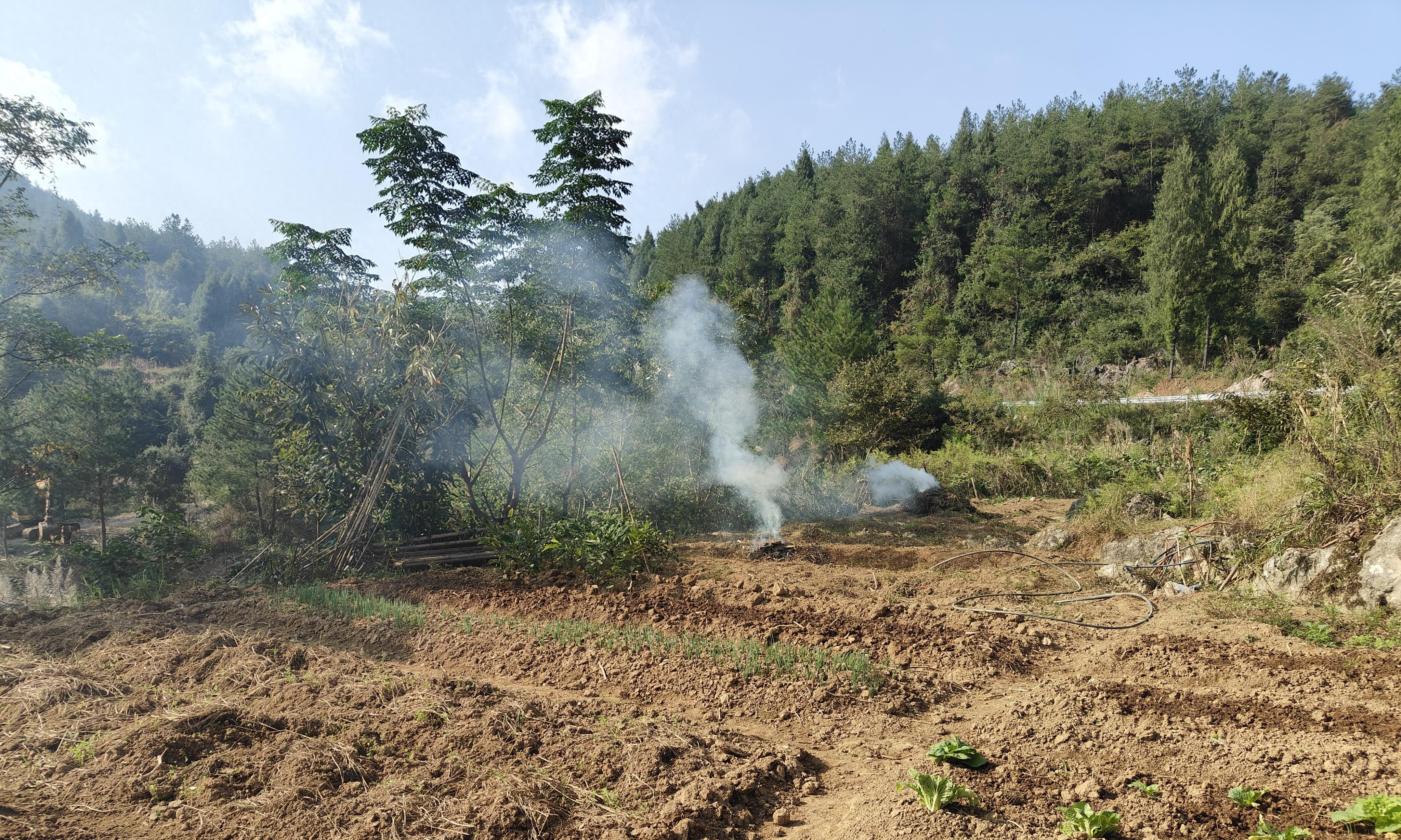 家庭种菜养土超简单的5个小技巧，最后一个人人都会，90%忽略不做