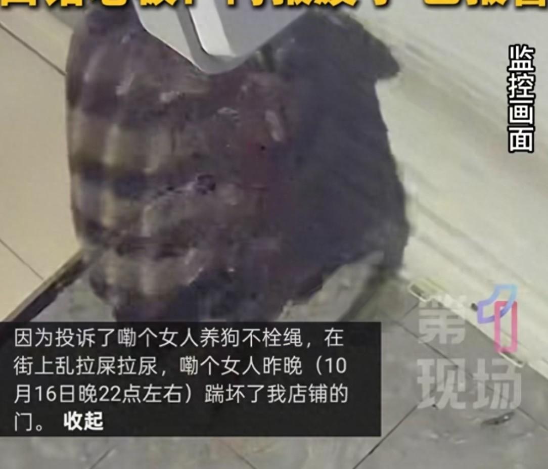 女子遛狗不牵绳到处乱拉，面馆老板投诉遭深夜踹门报复，女子否认
