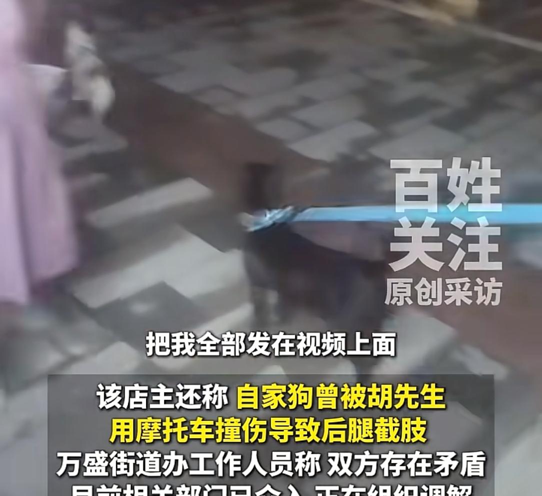 女子遛狗不牵绳到处乱拉，面馆老板投诉遭深夜踹门报复，女子否认