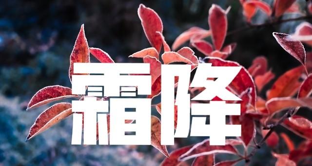“最怕霜降一日晴”，今日霜降，晴天有啥预兆？为何怕？答案来了