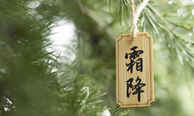 “最怕霜降一日晴”，今日霜降，晴天有啥预兆？为何怕？答案来了
