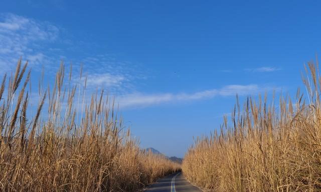 “最怕霜降一日晴”，今日霜降，晴天有啥预兆？为何怕？答案来了
