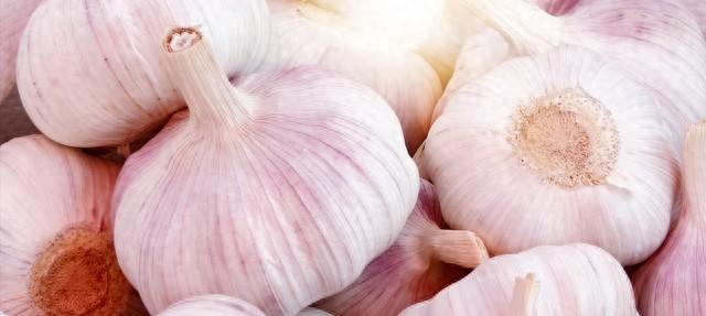 霜降已过，这些蔬菜还能种！大蒜、葱、菠菜行不行有答案啦