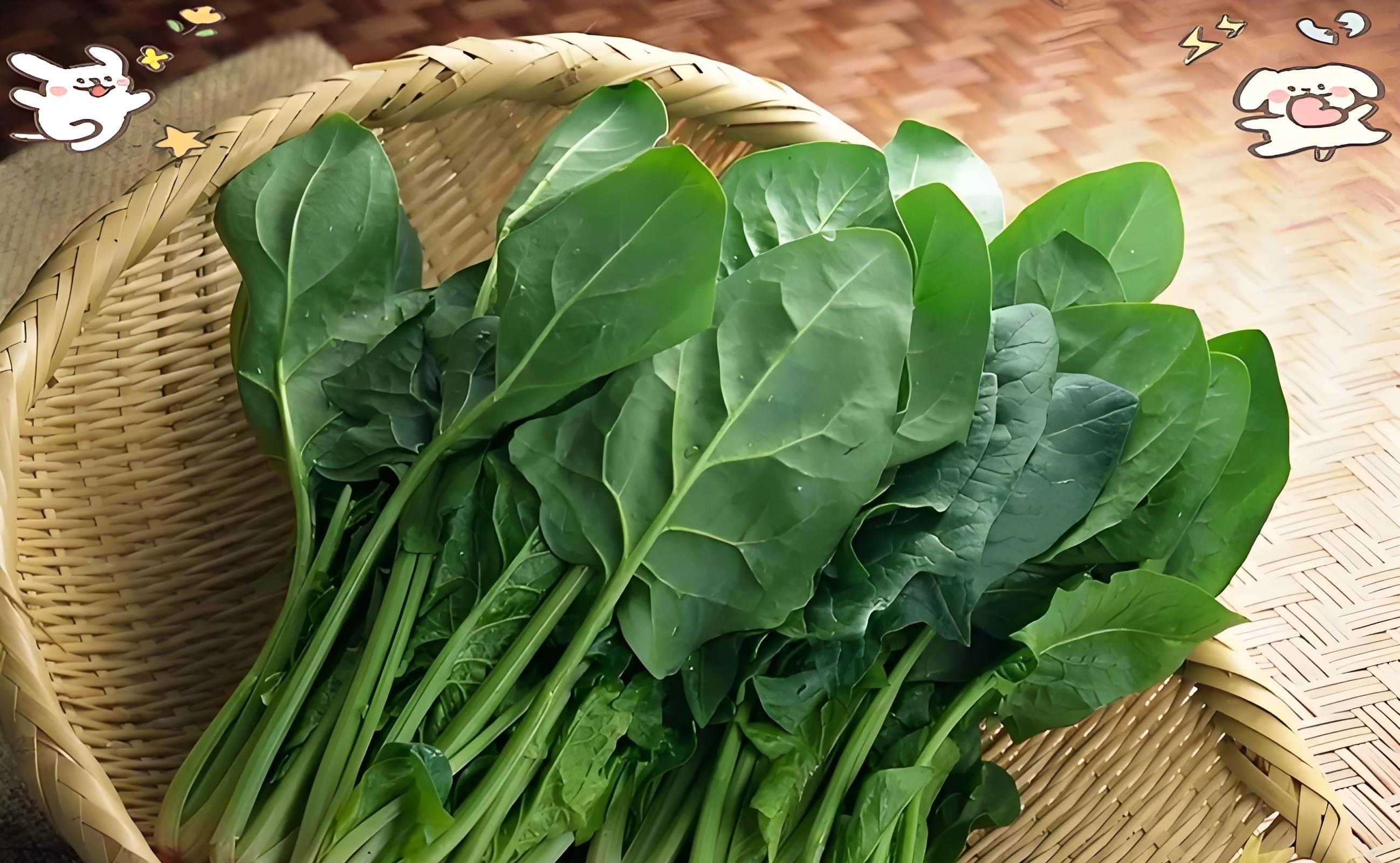 霜降别闲着！抓紧种这8种菜，寒冬照样绿油油，过年能吃鲜