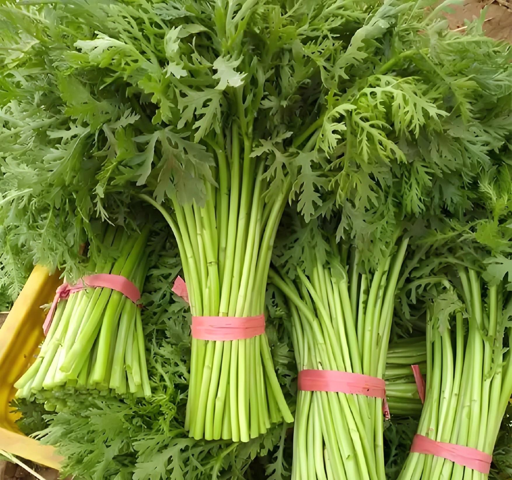 霜降别闲着！抓紧种这8种菜，寒冬照样绿油油，过年能吃鲜