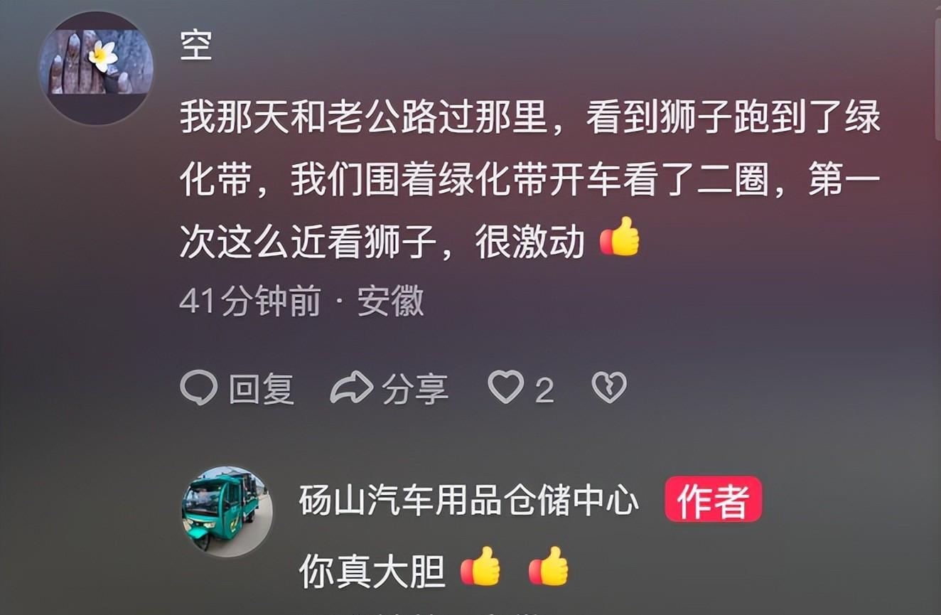 马戏团狮子出逃:抓捕视频曝光,员工只身挡住去路,网友直呼勇猛 马戏团狮子出逃:抓捕视频曝光,员工只身挡住去路,网友直呼勇猛