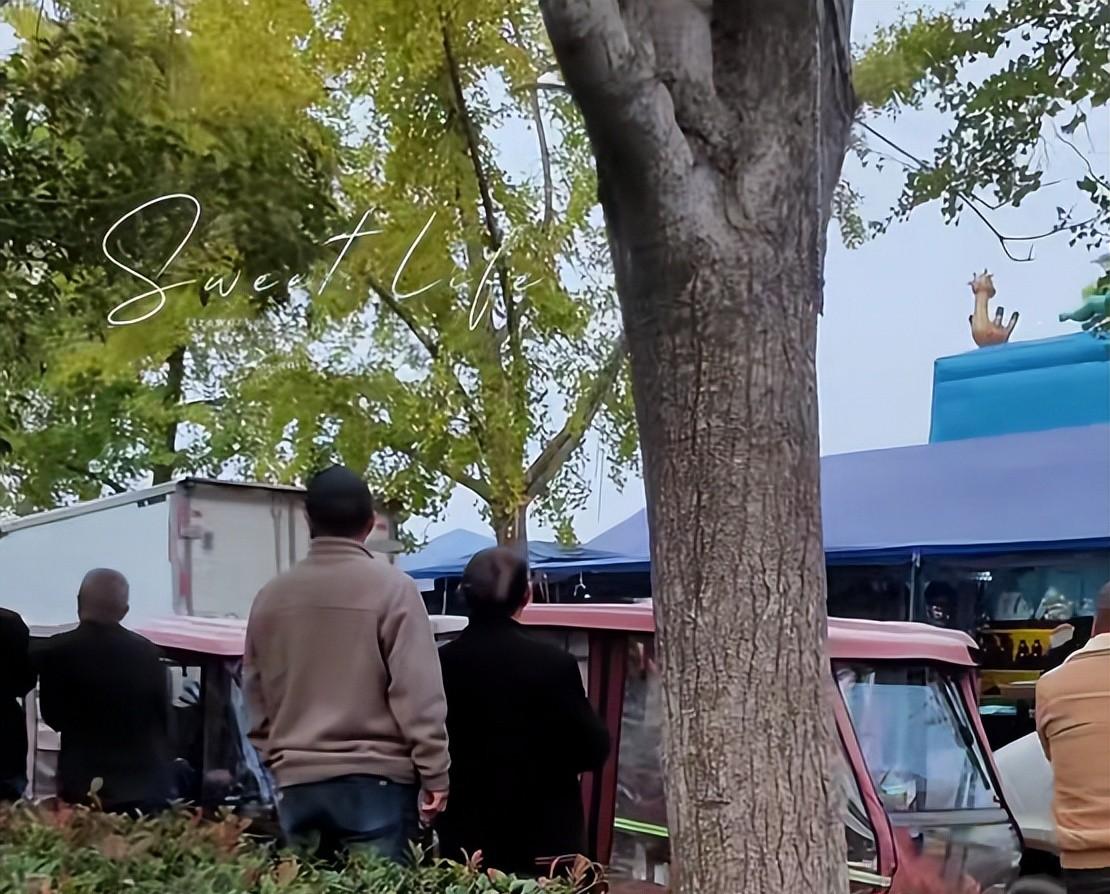 马戏团狮子出逃:抓捕视频曝光,员工只身挡住去路,网友直呼勇猛 马戏团狮子出逃:抓捕视频曝光,员工只身挡住去路,网友直呼勇猛