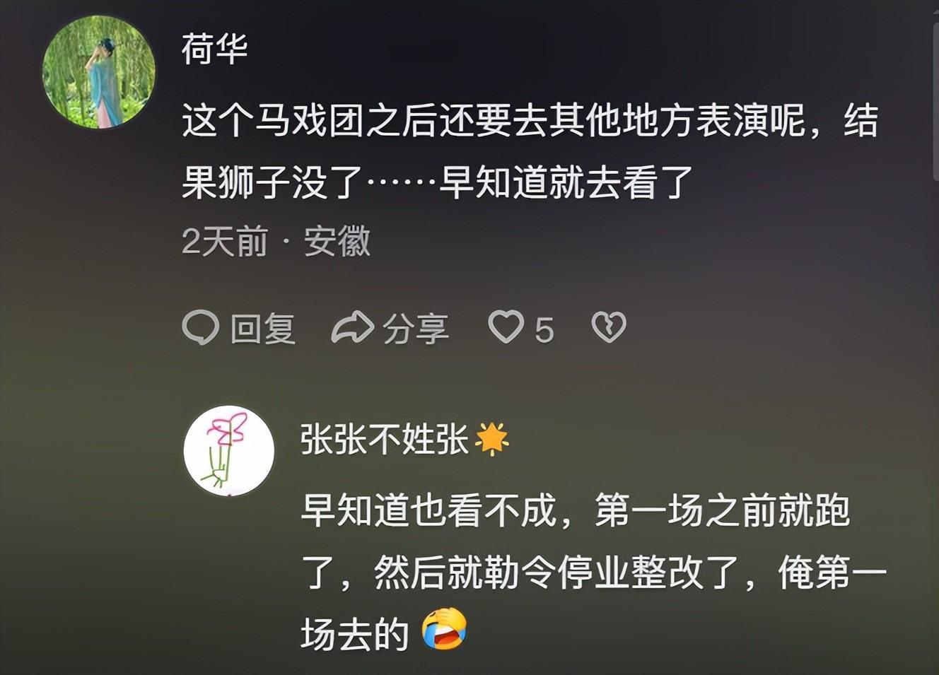 马戏团狮子出逃:抓捕视频曝光,员工只身挡住去路,网友直呼勇猛 马戏团狮子出逃:抓捕视频曝光,员工只身挡住去路,网友直呼勇猛