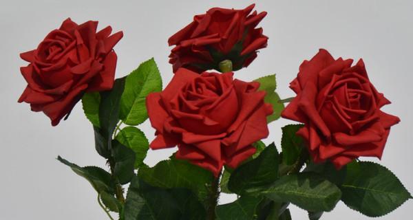 玫瑰花的寓意与象征（爱情之花）