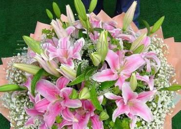 送女人百合花的含义(用鲜花传达情感的艺术) 送女人百合花的含义(用鲜花传达情感的艺术)