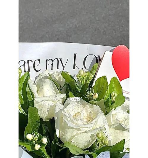 白玫瑰花的寓意与象征意义(唯美而纯洁的白玫瑰花)