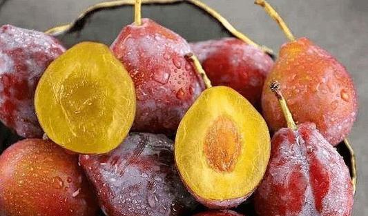 西梅的性质是什么?热性还是凉性? 西梅的性质是什么?热性还是凉性?