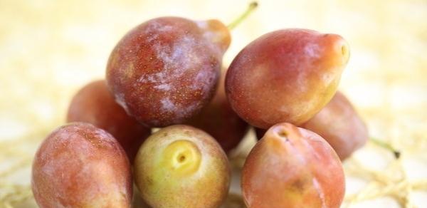 西梅的性质是什么?热性还是凉性?