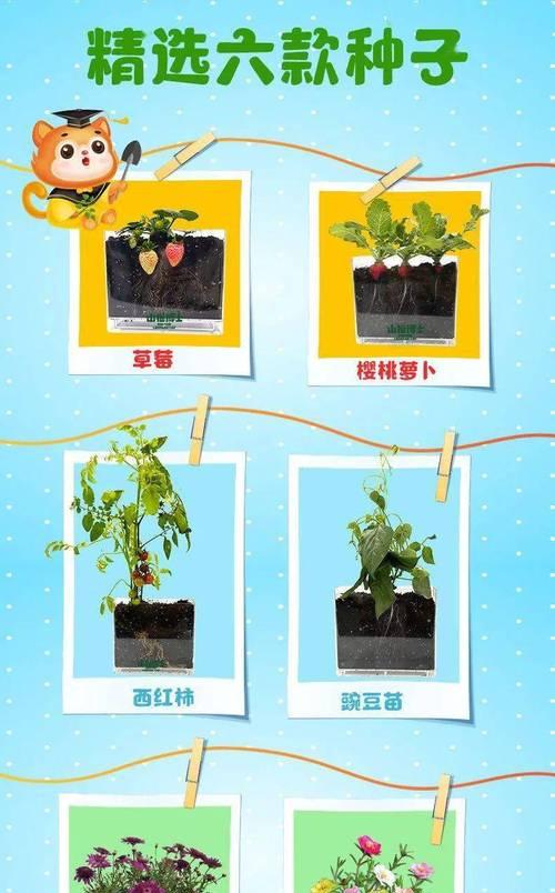 草莓配土方法与种植土壤有哪些常见问题?