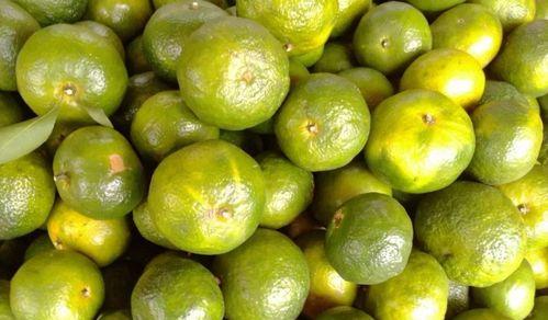 青皮橘子含糖量高吗？如何判断橘子的甜度？