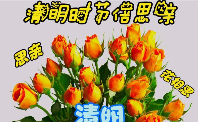 以表示哀思的花花语(唤起悲伤情感的花朵与诗意的寄托)