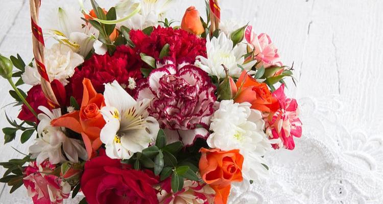 康乃馨的寓意与象征意义(探究康乃馨的象征意义及其文化内涵)