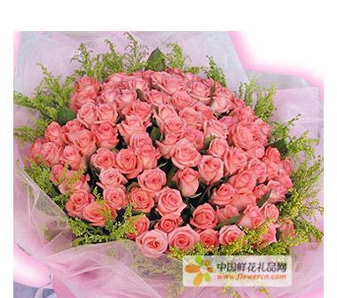 十一朵粉玫瑰的花语及寓意(传递爱意的十一朵粉玫瑰)