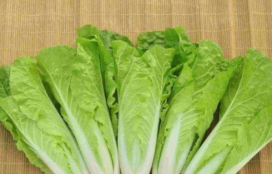 大白菜出现苦味还能食用吗?如何去除苦味? 大白菜出现苦味还能食用吗?如何去除苦味?