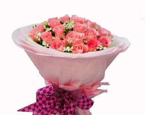 粉色玫瑰的花语与意义（探寻粉色玫瑰花的神秘之美）