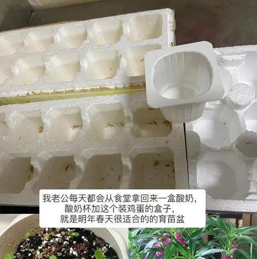 酸奶可以用来浇植物吗?这样做有什么好处和风险? 酸奶可以用来浇植物吗?这样做有什么好处和风险?