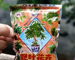 花草用什么肥料最好?如何根据植物类型选择合适的肥料? 花草用什么肥料最好?如何根据植物类型选择合适的肥料?