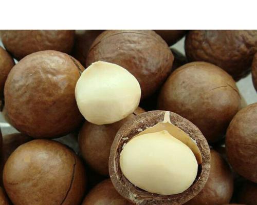 夏威夷果原产于哪里?它有哪些特别之处? 夏威夷果原产于哪里?它有哪些特别之处?