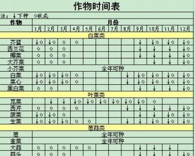 蔬菜种子发芽需要多长时间？常见问题解答