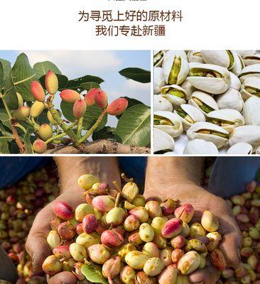 开心果产地在哪里？全球开心果主要产地有哪些？