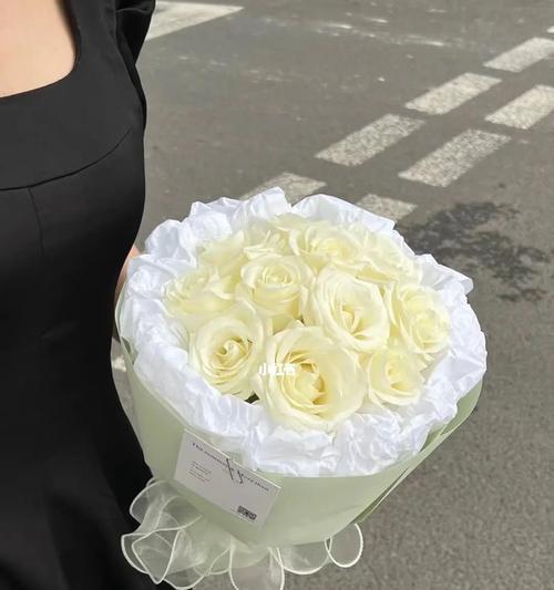 九朵玫瑰花的意义与象征(九朵玫瑰花的吉祥寓意与美丽芬芳)