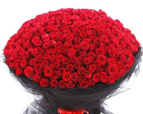 九朵玫瑰花的意义与象征（九朵玫瑰花的吉祥寓意与美丽芬芳）