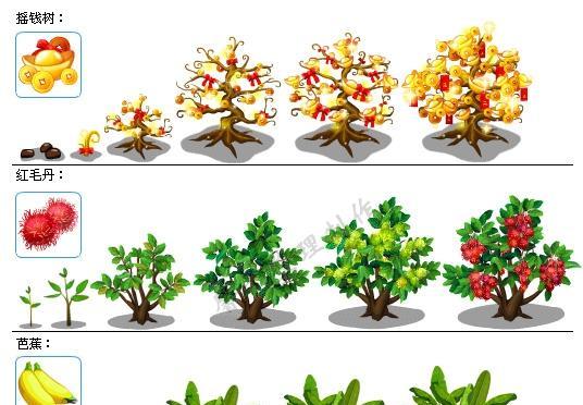 黄豆从播种到成熟需要多少天？常见问题解答
