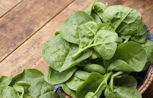 木耳菜能生吃吗？食用安全与健康指南