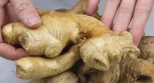 生姜需要去皮吗？去皮和不去皮的利弊是什么？