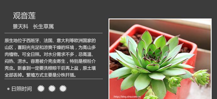 阿司匹林浇多肉植物有好处吗?使用方法是什么? 阿司匹林浇多肉植物有好处吗?使用方法是什么?