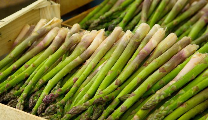 芦笋一年四季都有吗?在什么季节可以买到新鲜芦笋? 芦笋一年四季都有吗?在什么季节可以买到新鲜芦笋?