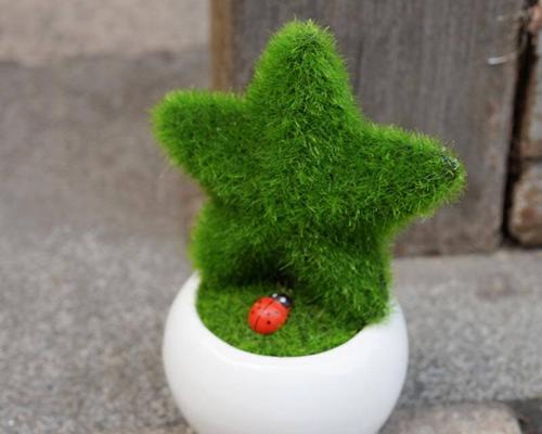 许愿豆是什么植物?它有哪些神奇的传说和用途? 许愿豆是什么植物?它有哪些神奇的传说和用途?