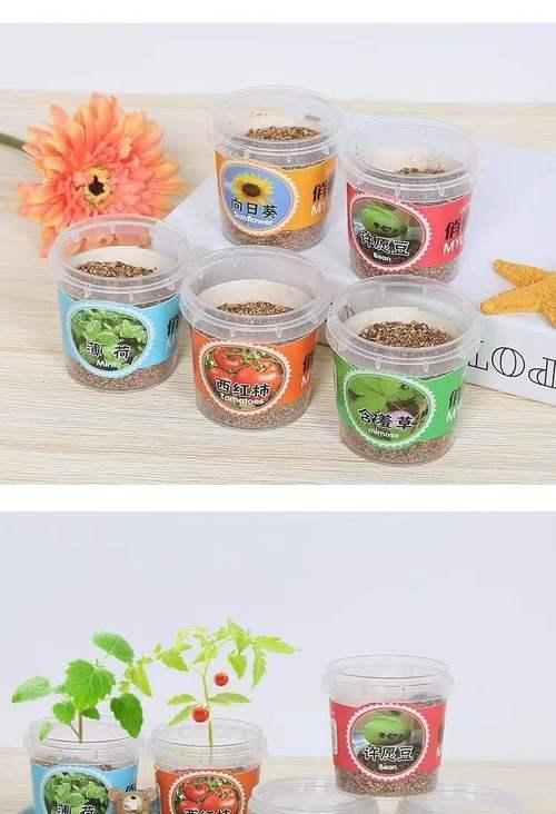 许愿豆是什么植物?它有哪些神奇的传说和用途? 许愿豆是什么植物?它有哪些神奇的传说和用途?